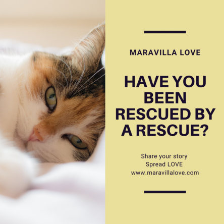 Who rescued whom?