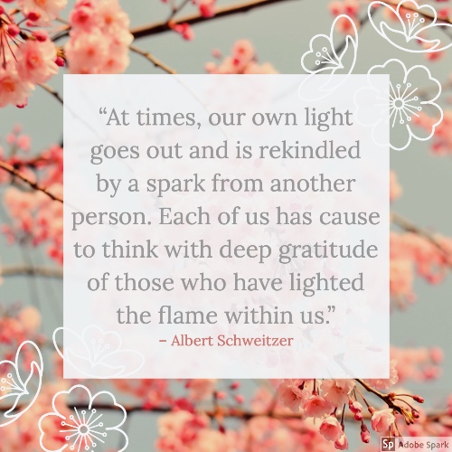 Gratitude quote by A. Schweitzer