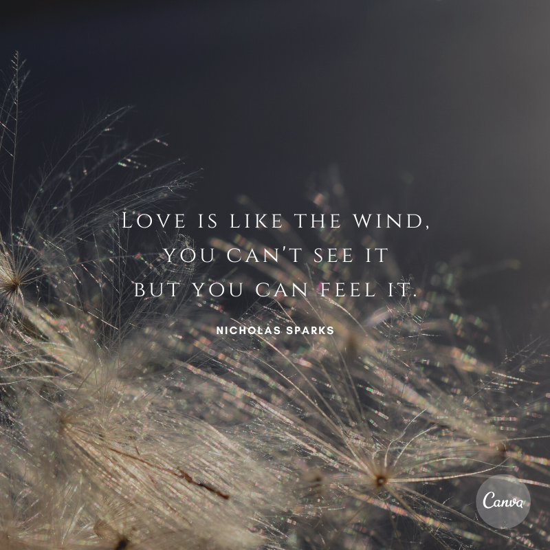 Love is like the wind…