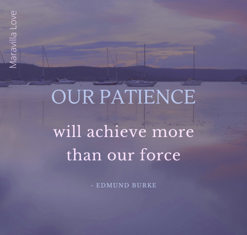 Our Patience will achieve more than our force