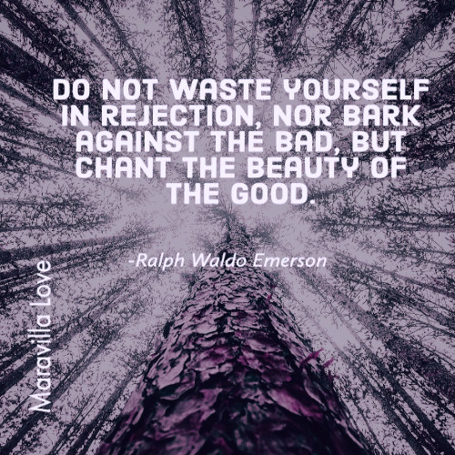 Do not waste yourself in rejection
